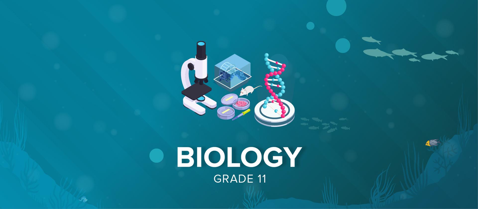 Grade 11 Biology