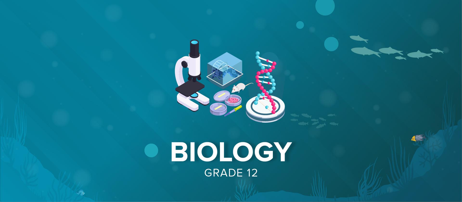 Grade 12 Biology