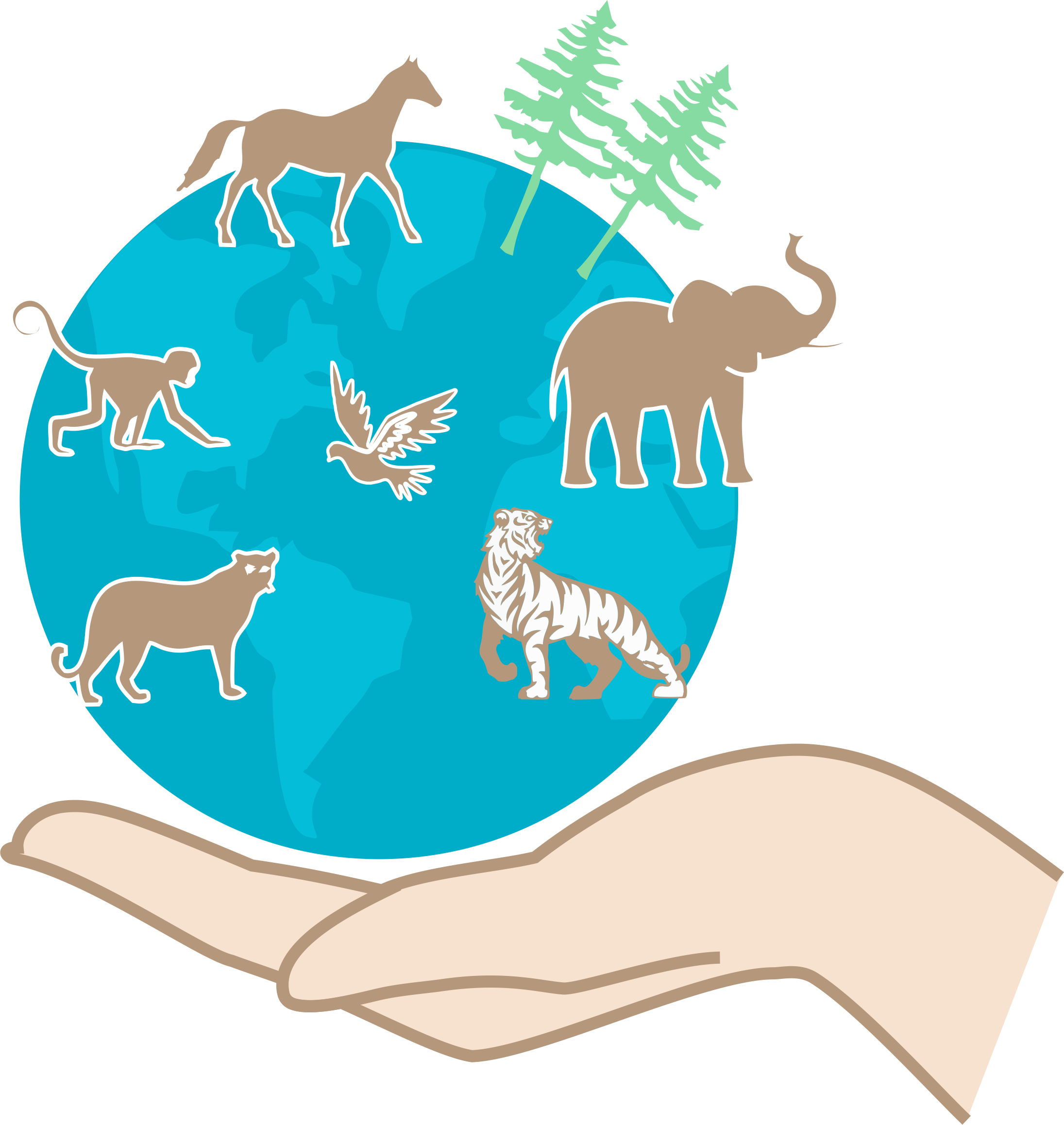 Biology For Class 11 Engaging Lessons For Grade 11 Students 